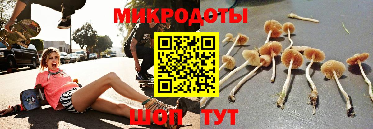Псилоцибиновые грибы Psilocybine cubensis  Вход с VPN  Таганрог 