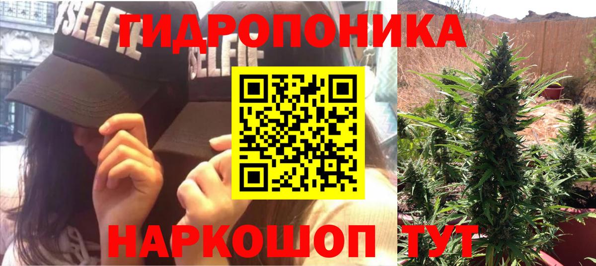 Каннабис индика  Вход с VPN  Бошки Шишки семена  Таганрог 